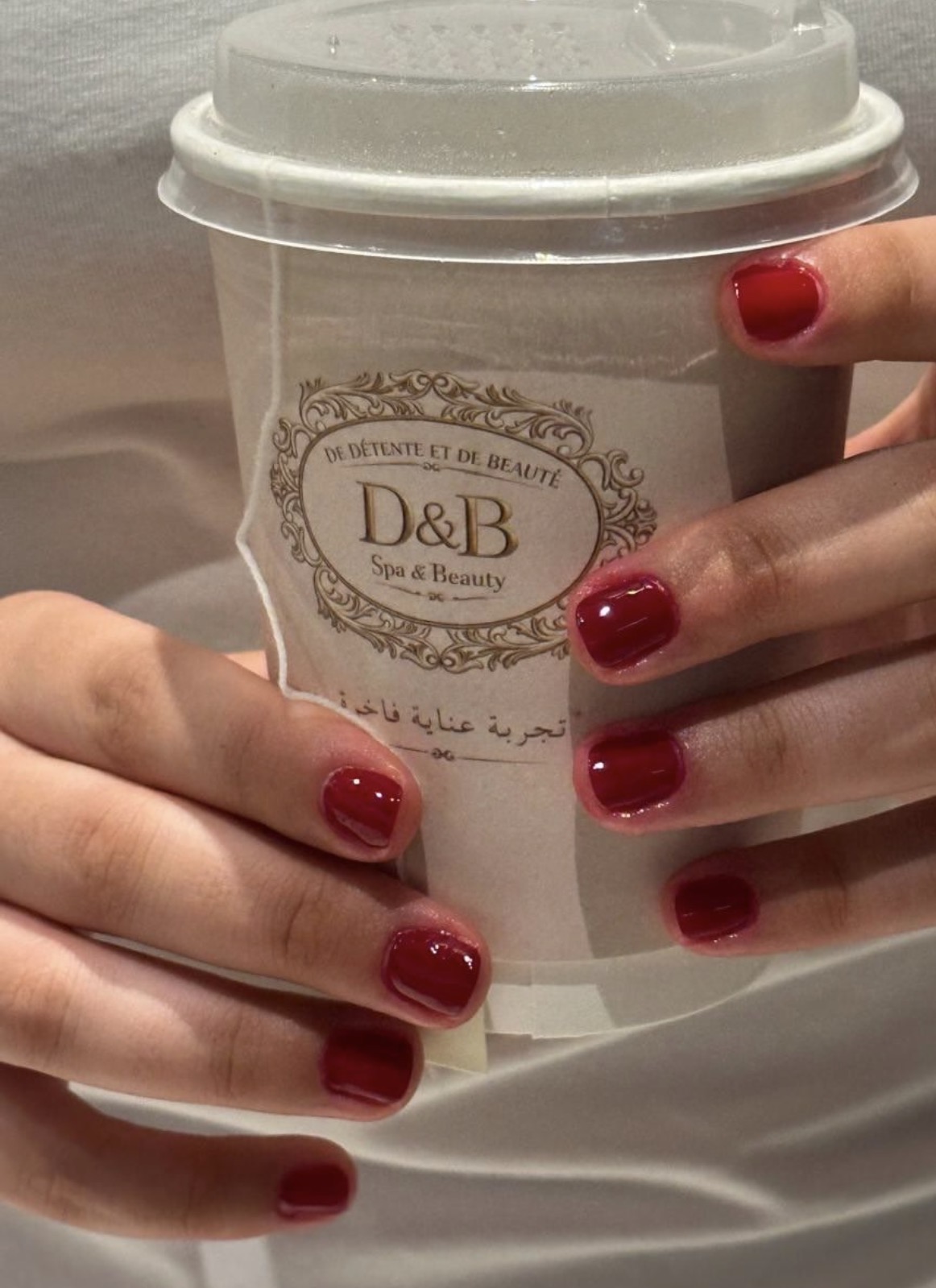 D&B spa