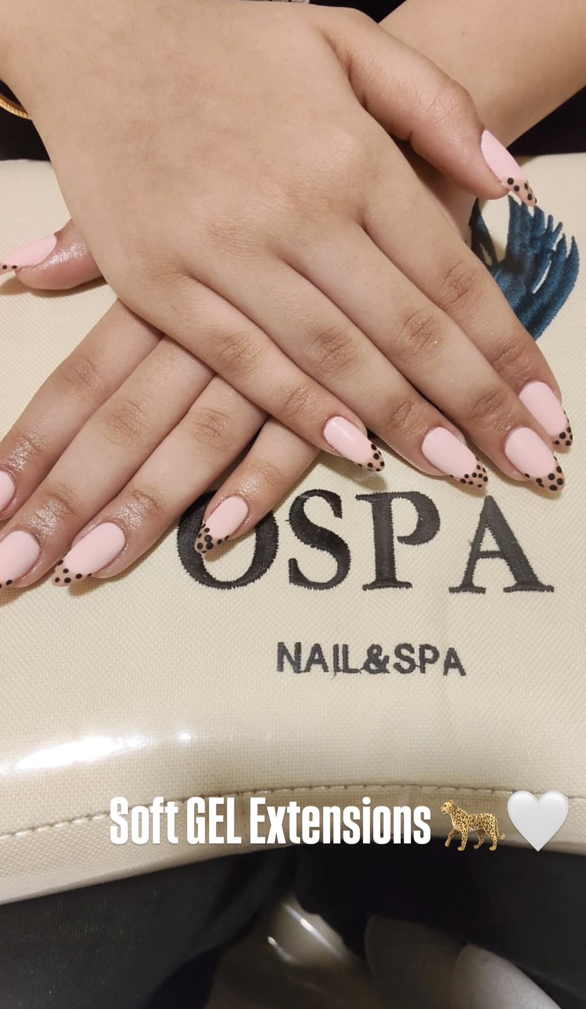 OSPA Home