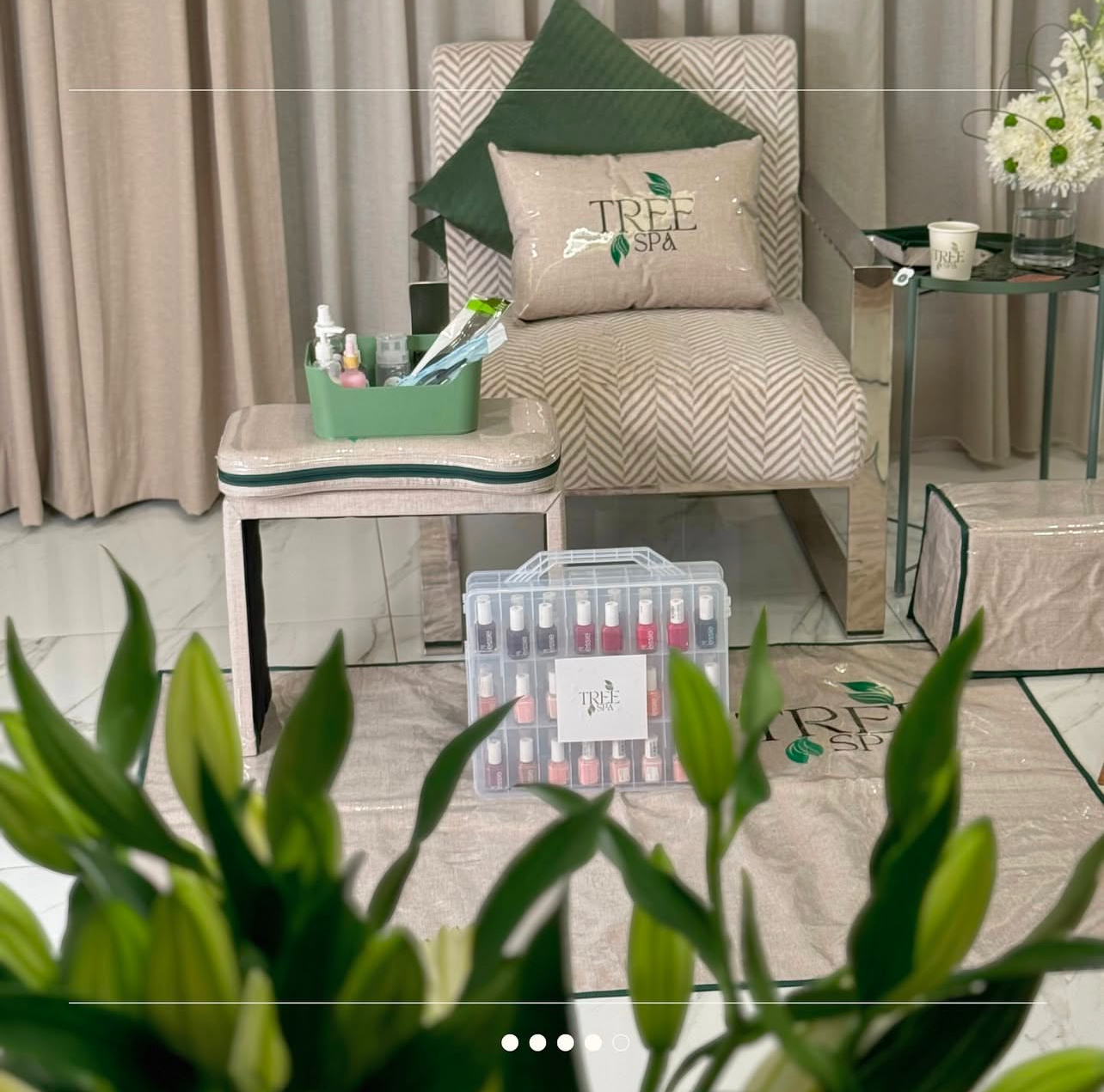 تري _سبا