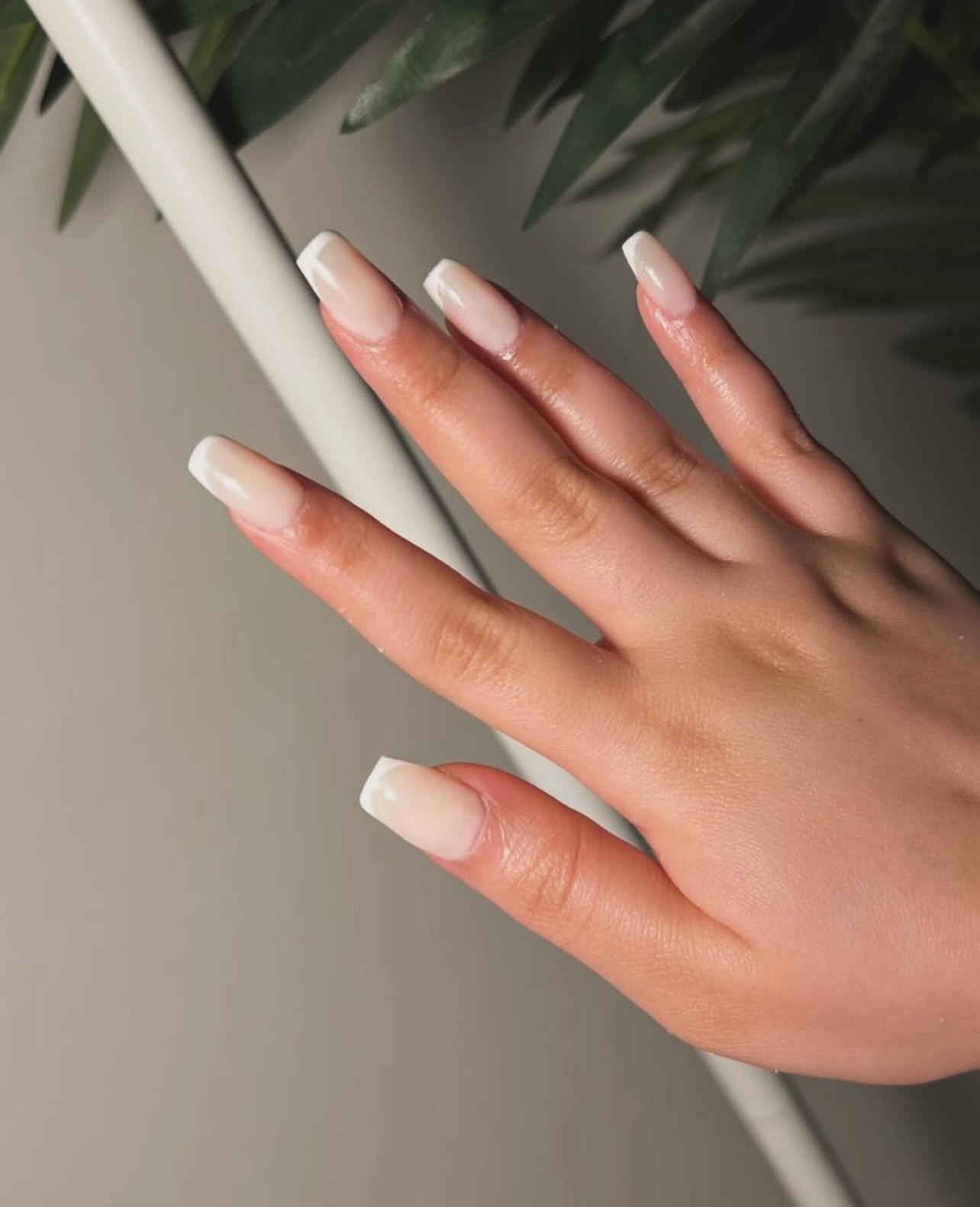 refresh nail spa