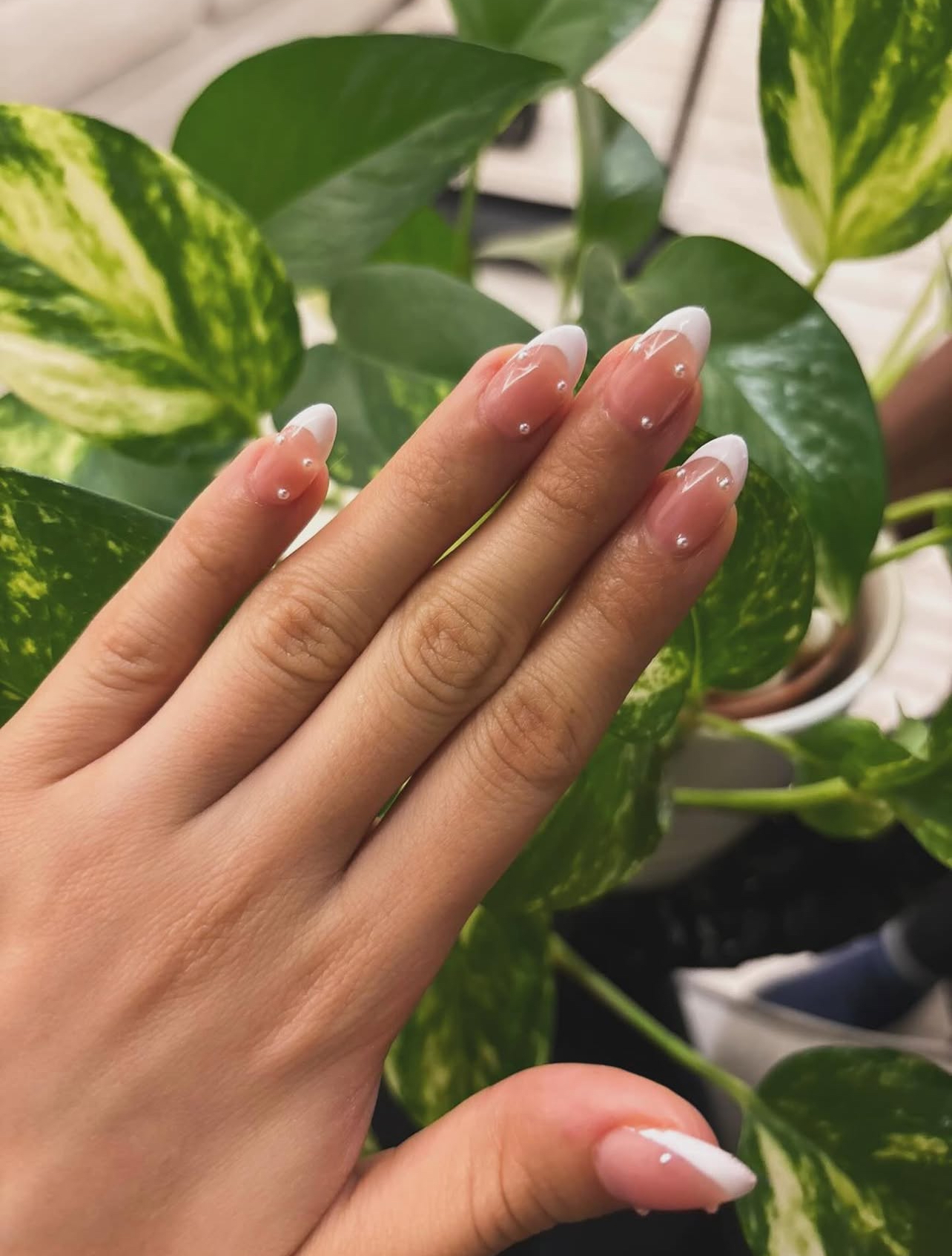 refresh nail spa